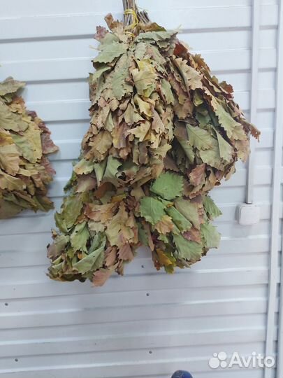 Веник дубовый