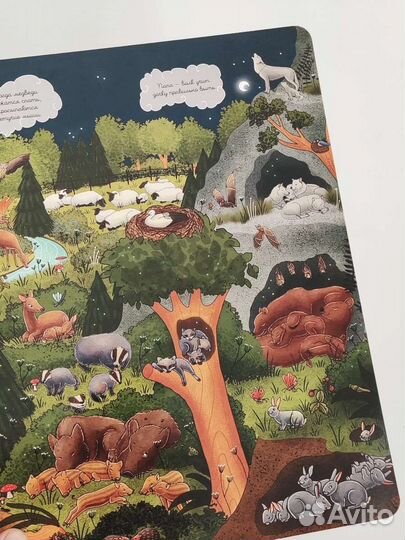 Виммельбух 