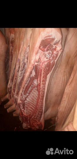 Мясо свинины, говядины