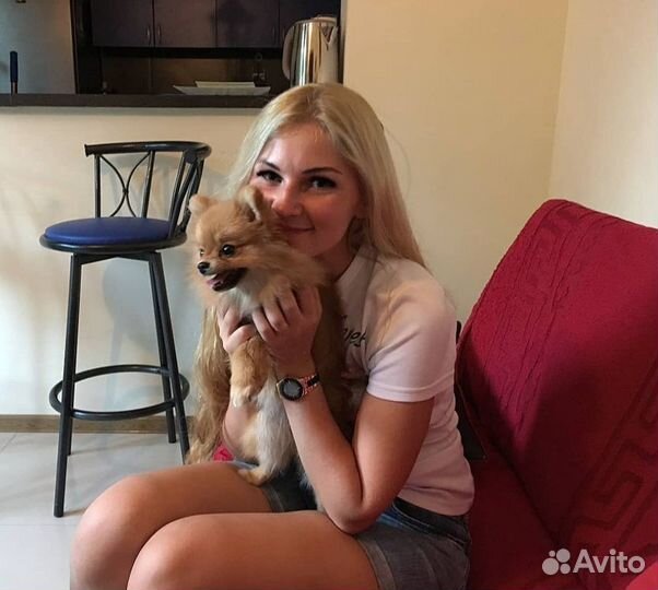 Котоняня / Зооняня / Кэтситтер