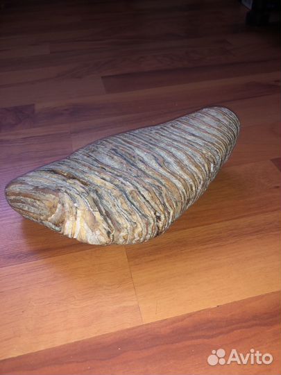 Зуб мамонта