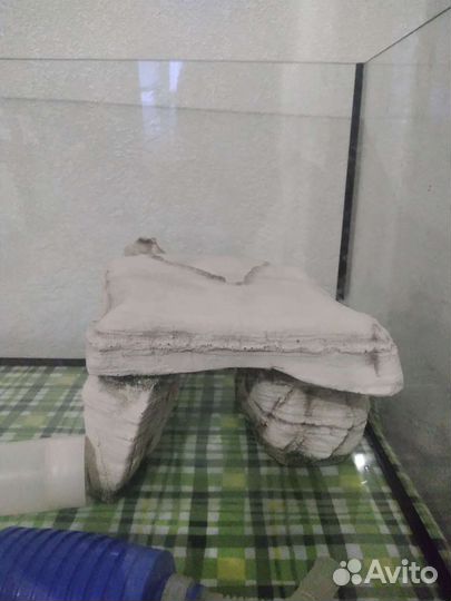 Террариум, грот, нагреватель для воды