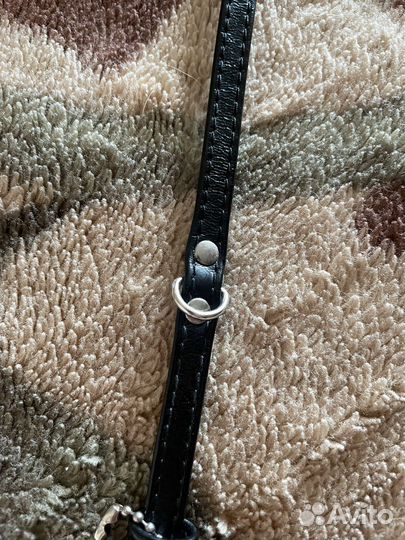 Ошейник для маленьких собак