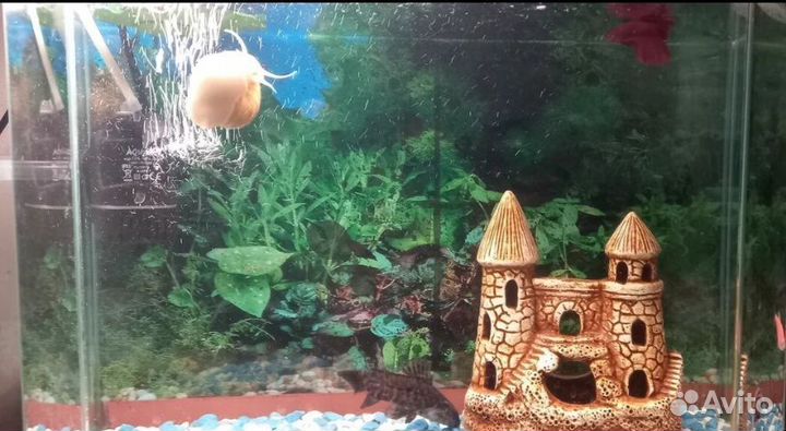 Украшение для аквариума