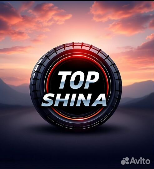 Yokohama S220 225/55 R17