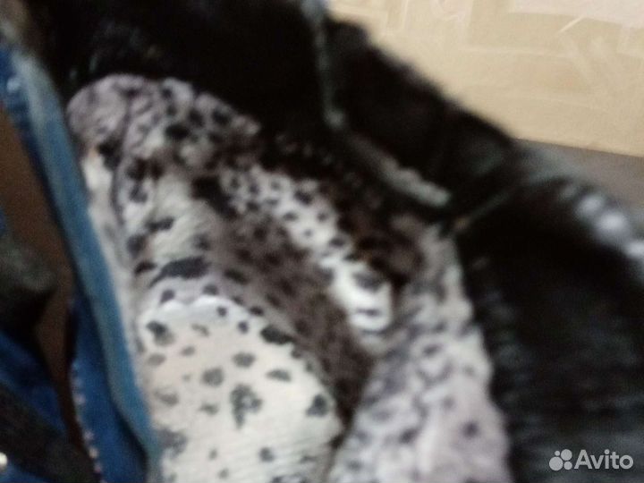 Полусапожки женские