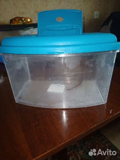 Аквариум для улиток пластик