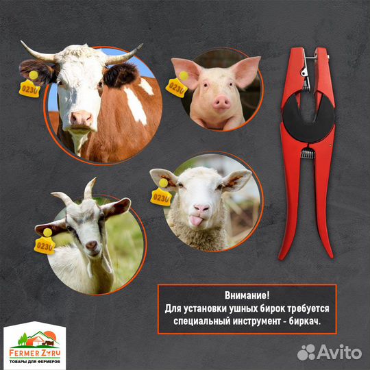 Бирка ушная 50*42 мм, нумерованная