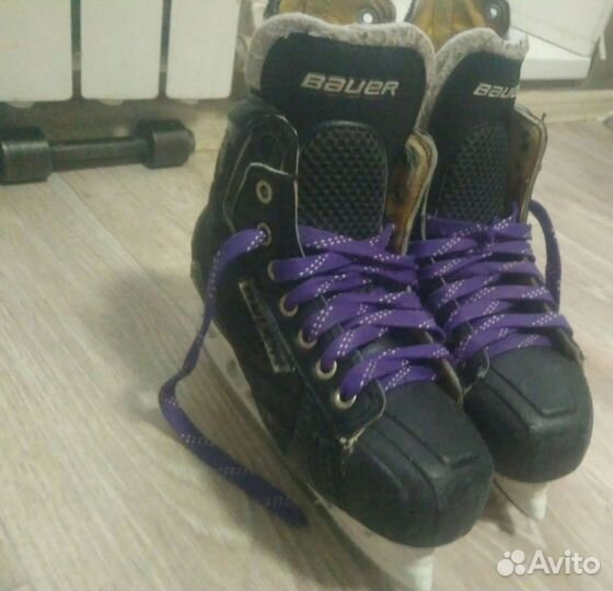 Хоккейные коньки bauer nexus 800