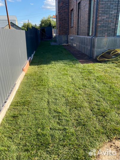 Рулонный газон под ключ