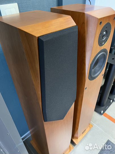 Акустические системы Focus Audio FC7 SE