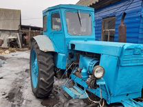 Трактор ЛТЗ Т-40АМ, 1981