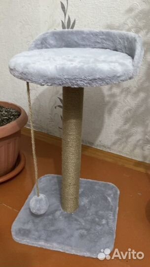 Когтеточка