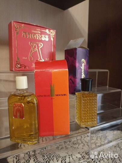 Кредо Контакт Мистика Цветы Кубани,Черный Нарцисс