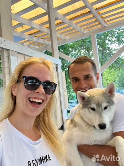 Передержка некрупных собак