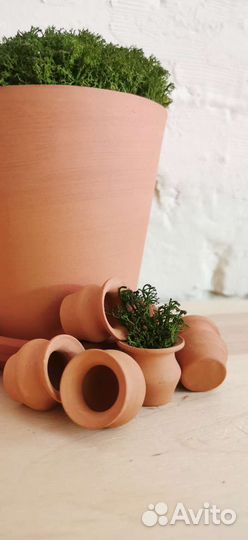 Горшки керамические для цветов