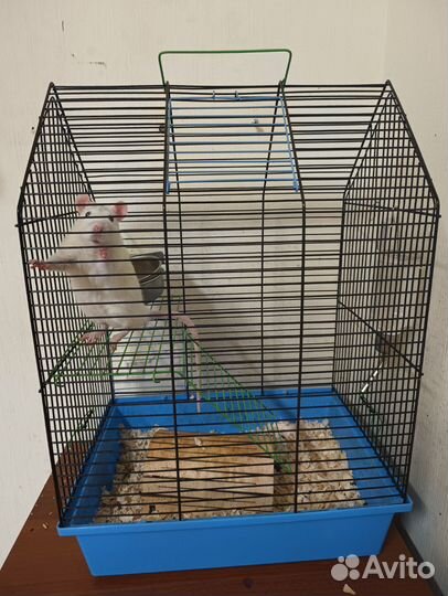 Клетка для грызунов