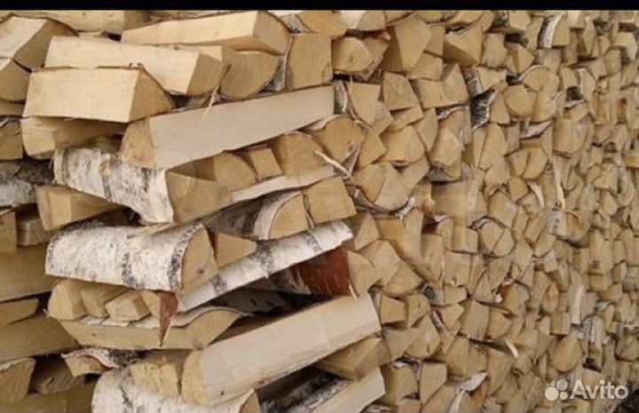 Дрова береза