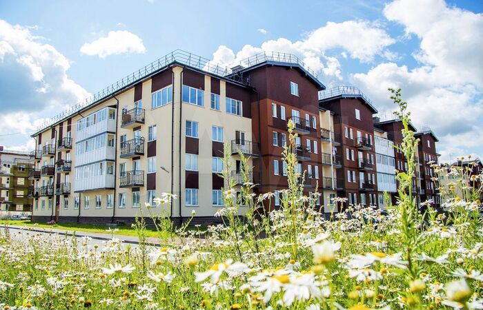 2-к. квартира, 49,4 м², 2/4 эт.