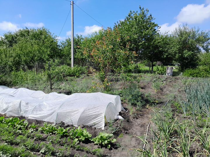 Участок 10 сот. (ИЖС)