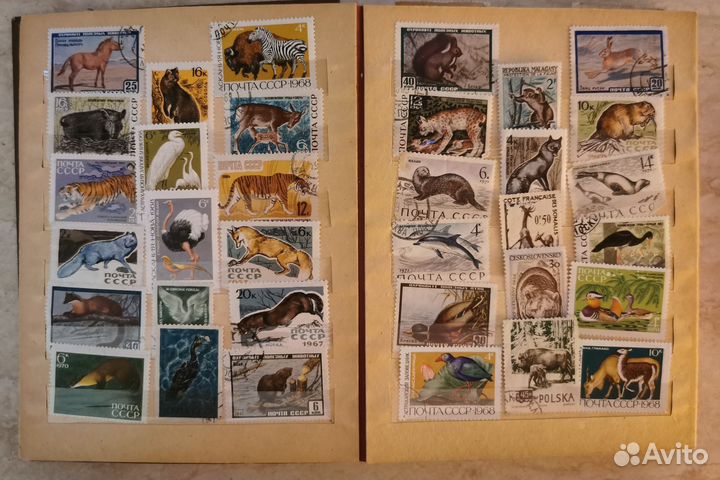 Почтовые марки СССР и иностранные Животные