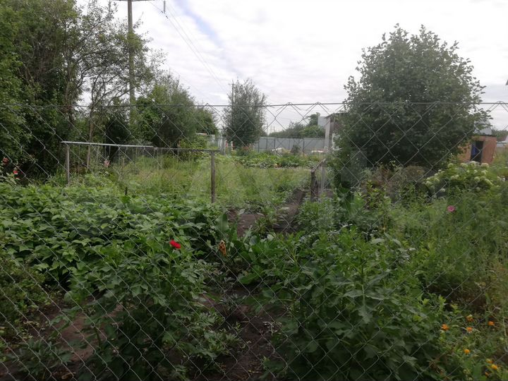 Участок 4 сот. (СНТ, ДНП)