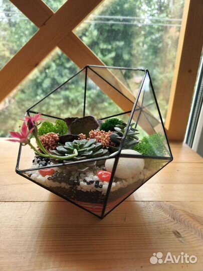 Флорариум с суккулентами