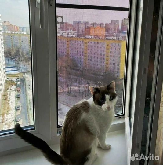 Сетка москитная