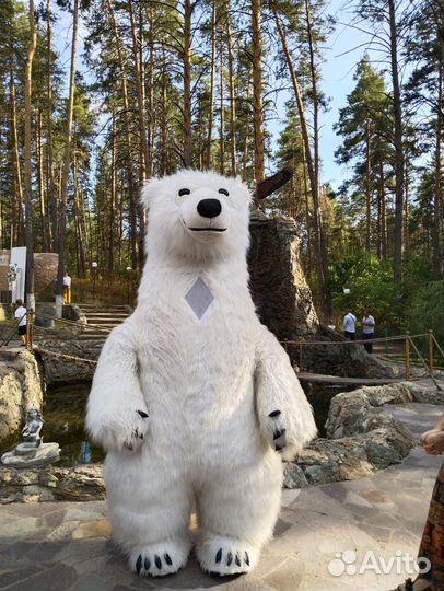 Организация праздников для детей и взрослых