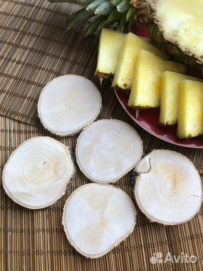 Спилы дерева/срезы/заготовки для поделок