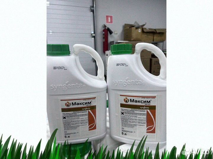 Протравитель Максим 5л