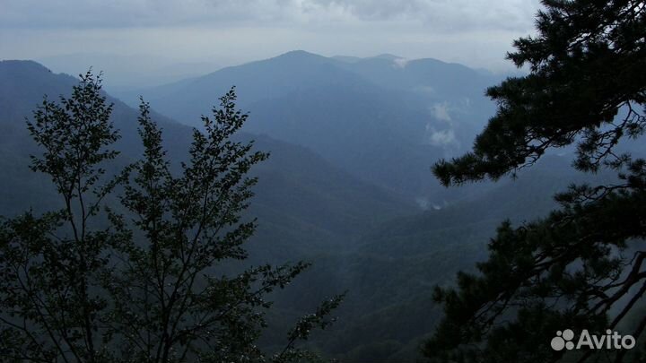 Фотоаппарат Sony DSC-H10