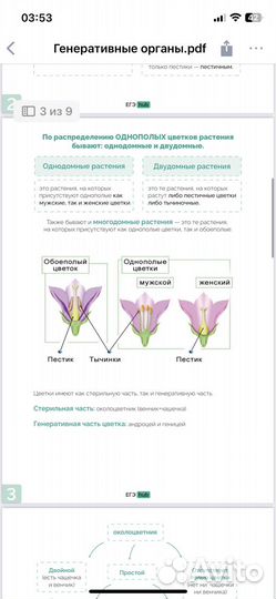 Конспекты по биологии ЕГЭ