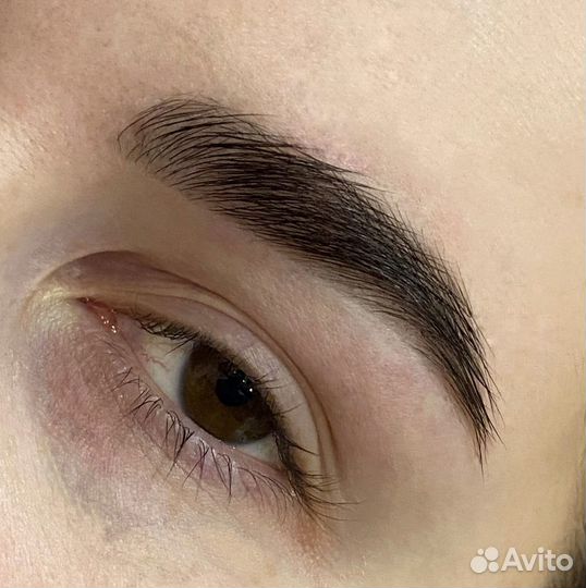 Мастер бровист