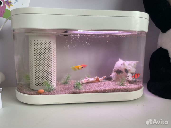 Аквариум xiaomi