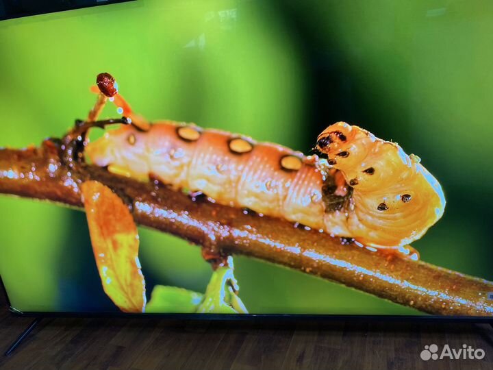 Новый 43 Андроид с безлимитным контентом