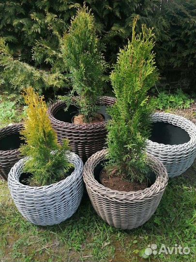 Кашпо для дома и сада