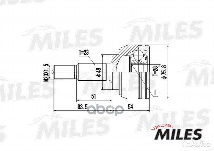 1 GA20386 Miles