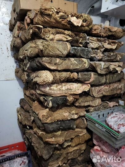 Рубец говяжий требуха