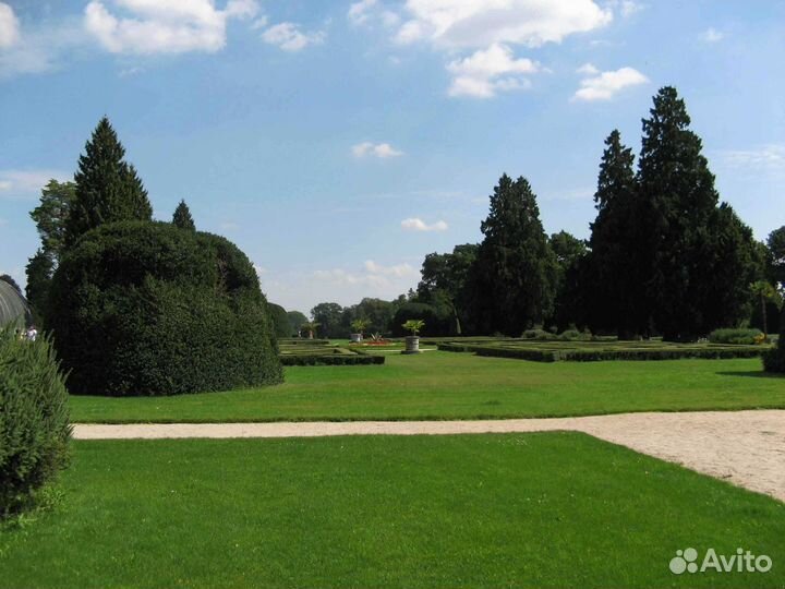 Укладка рулонного газона