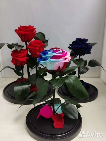 Роза в колбе оптом