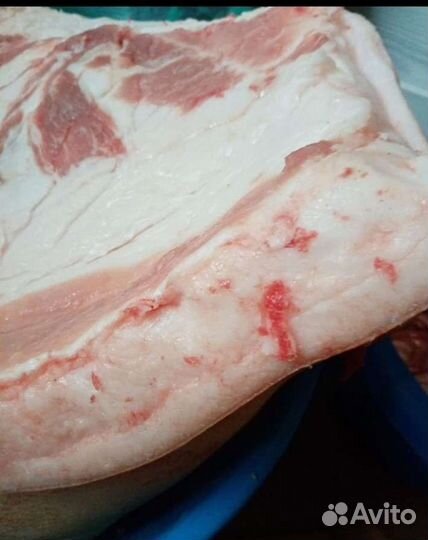 Мясо свинина