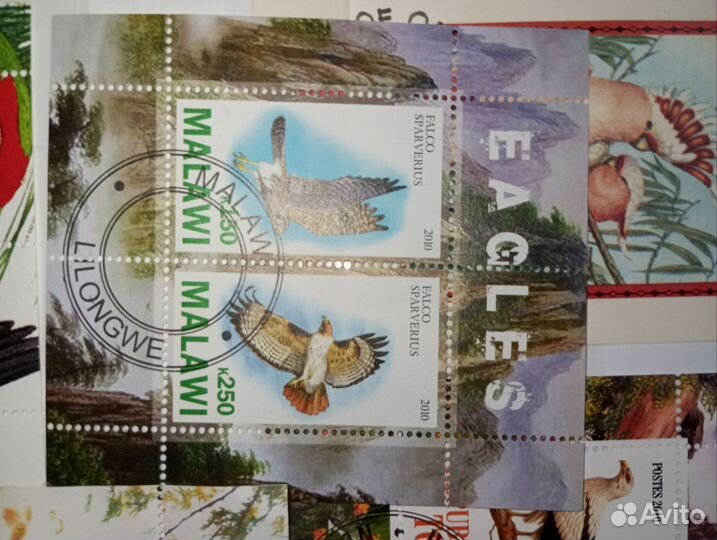 Почтовые блоки СССР марками