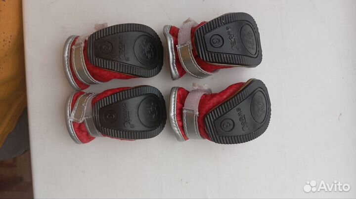 Одежда для маленьких собак