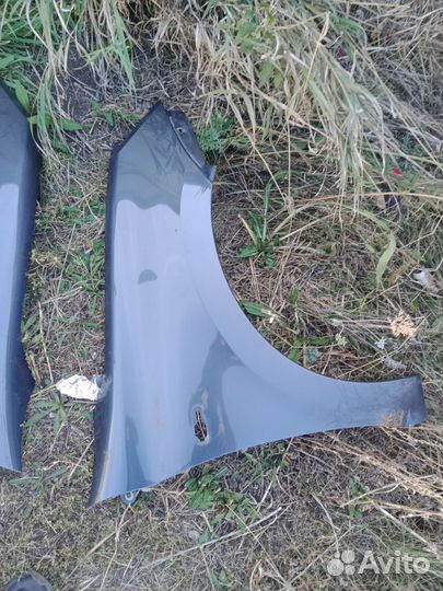 Крылья передние гранта