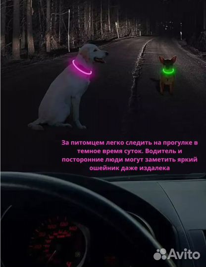 Ошейник светодиодный