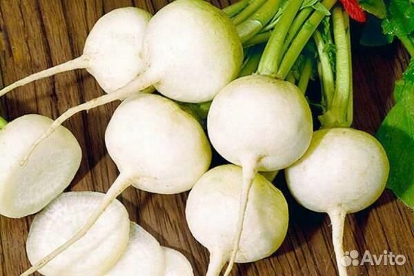 Семена редьки, дайкона