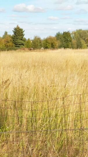 Участок 20,2 сот. (ИЖС)