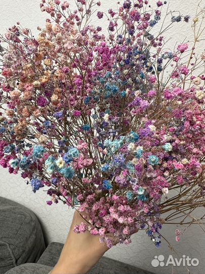 Гипсофила сухоцветы