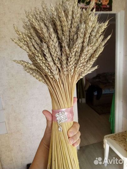 Букет из пшеницы, пшеничный букет пшеница